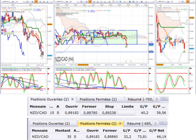 Milieu NZDCAD.png
