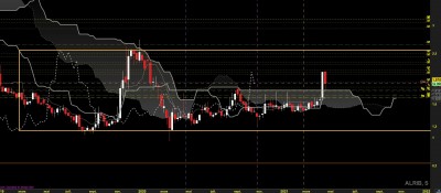 w.jpg