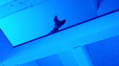 20141001_235024.jpg
