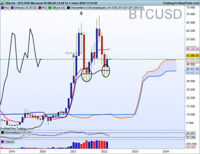 BTCUSD-Mensuel.png