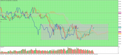 NZDCADM5.png