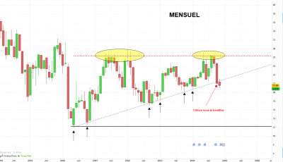 FII MENSUEL.png