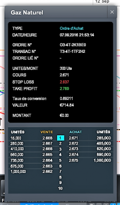 Capture d’écran (14).png