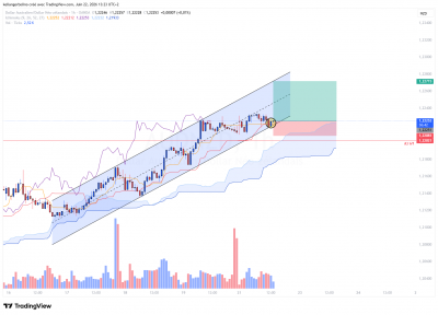 LIVE_AUDNZD_TENDANCE_2206_1.png