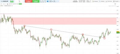 CADCHF JOURNALIER SANS ICHI.jpg