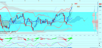 USDCHF D1 (11-18-2016 1517).png